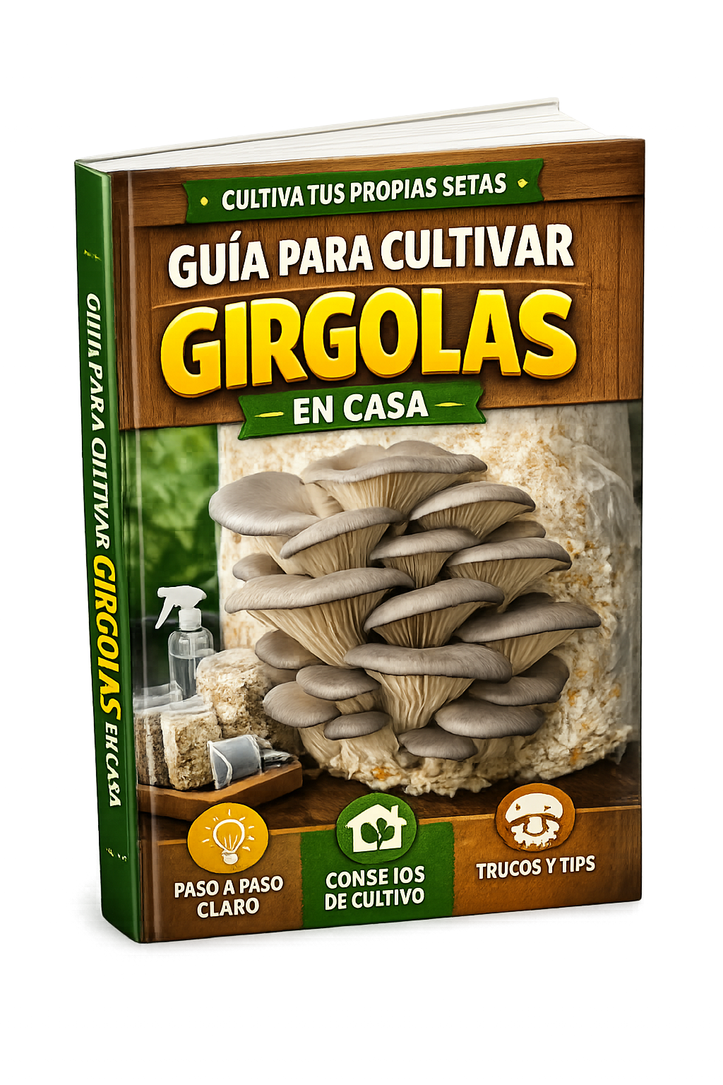 Guia de cultivo de girgolas en casa