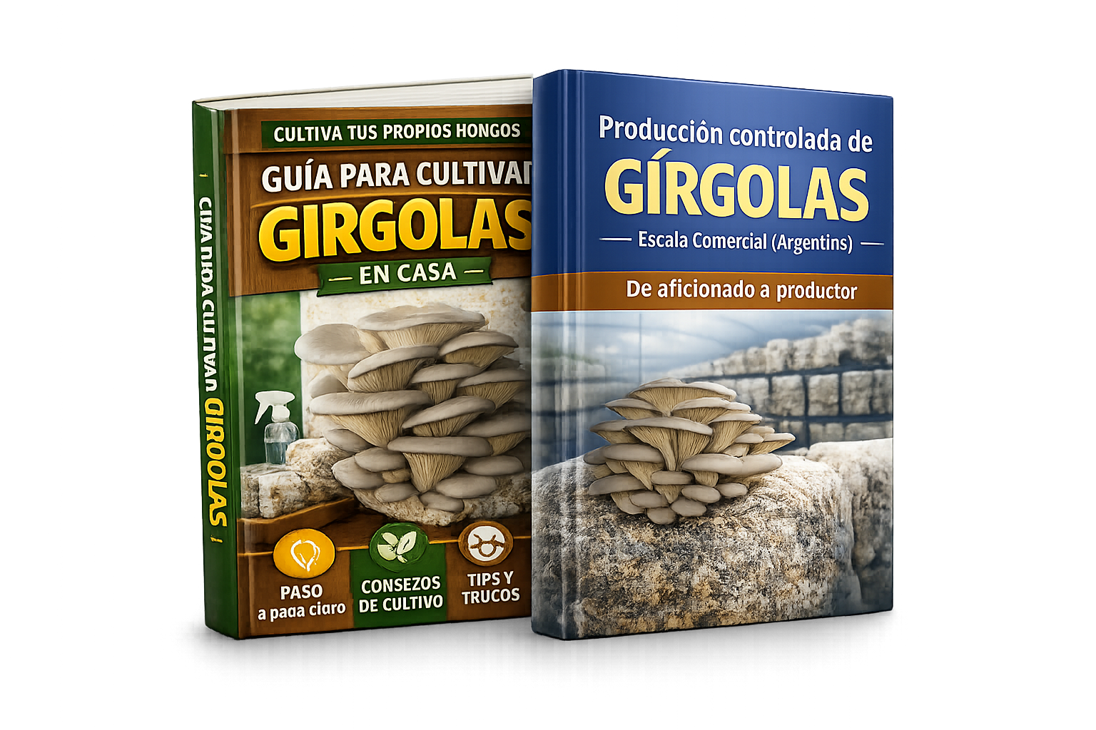 GUÍA CULTIVO GIRGOLAS EN CASA + PRODUCCION CONTROLADA DE GIRGOLAS A ESCALA COMERCIAL